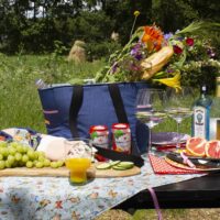 Picknicken in de natuur